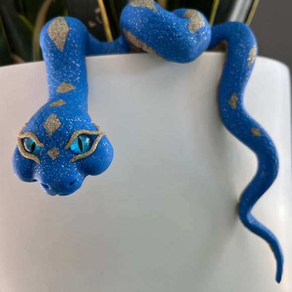 Medusa Pot Snake