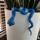 Medusa Pot Snake