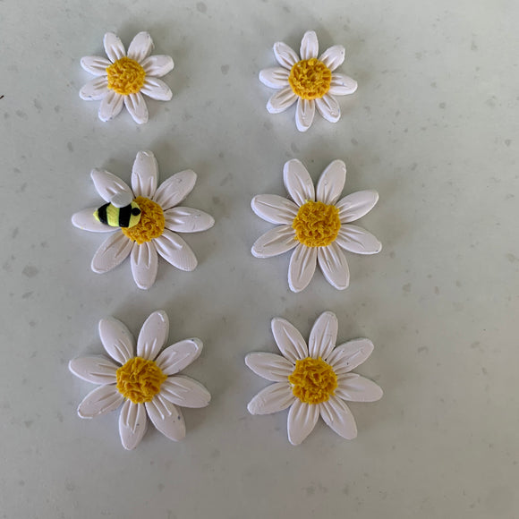 Daisy studs